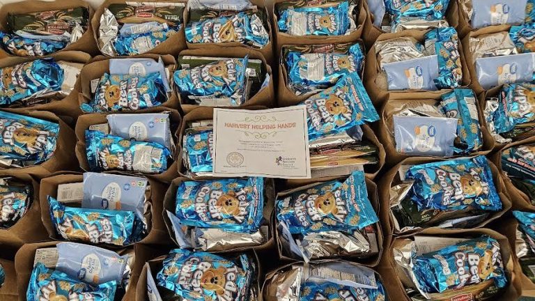 Rows of brown bags filled with snack packs around a certificate, from Monthly Packings