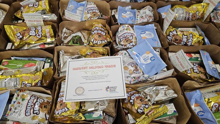 Overhead view of bags filled with cookies and snacks around a Harvest Helping Hands sign